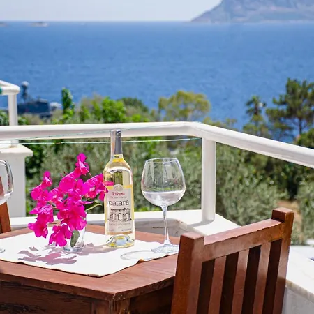 Hotel Selim