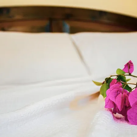 Hotel Selim *