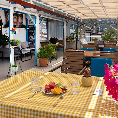 Hotel Selim *